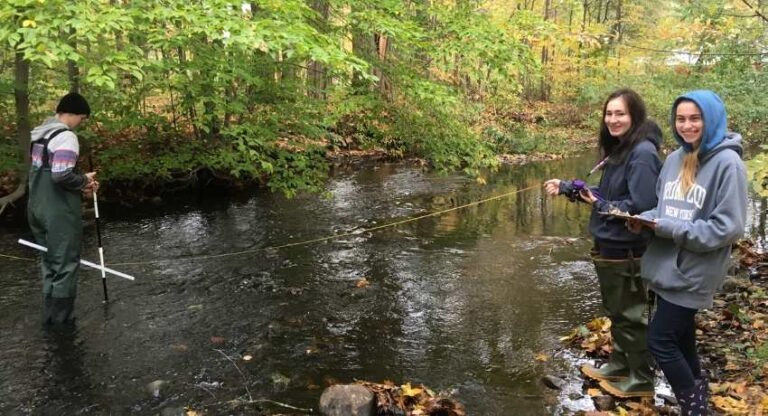 One male student stands in a stream to do research while two females stand nearby