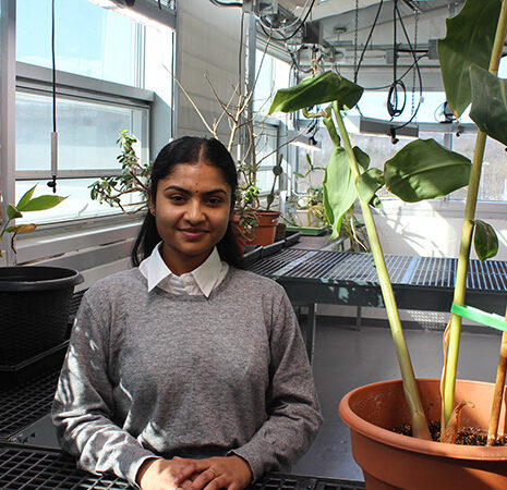 Priyusha Tollimalli, a student who volunteers in the greenhouse