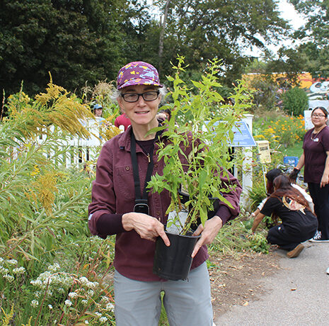 A person wearing glasses and a patterned cap holds a potted plant in an outdoor garden, with several people interacting in the background.