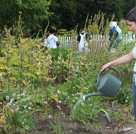 Two people tending a garden; one waters plants with a watering can while the other bends down to work in the soil.